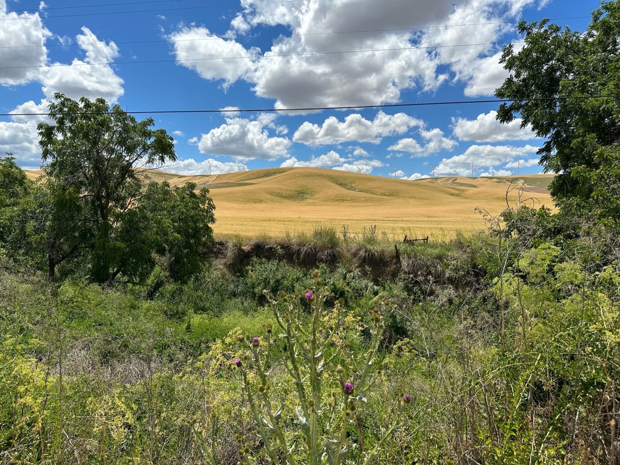 Day 6 - Western Washington Scenery