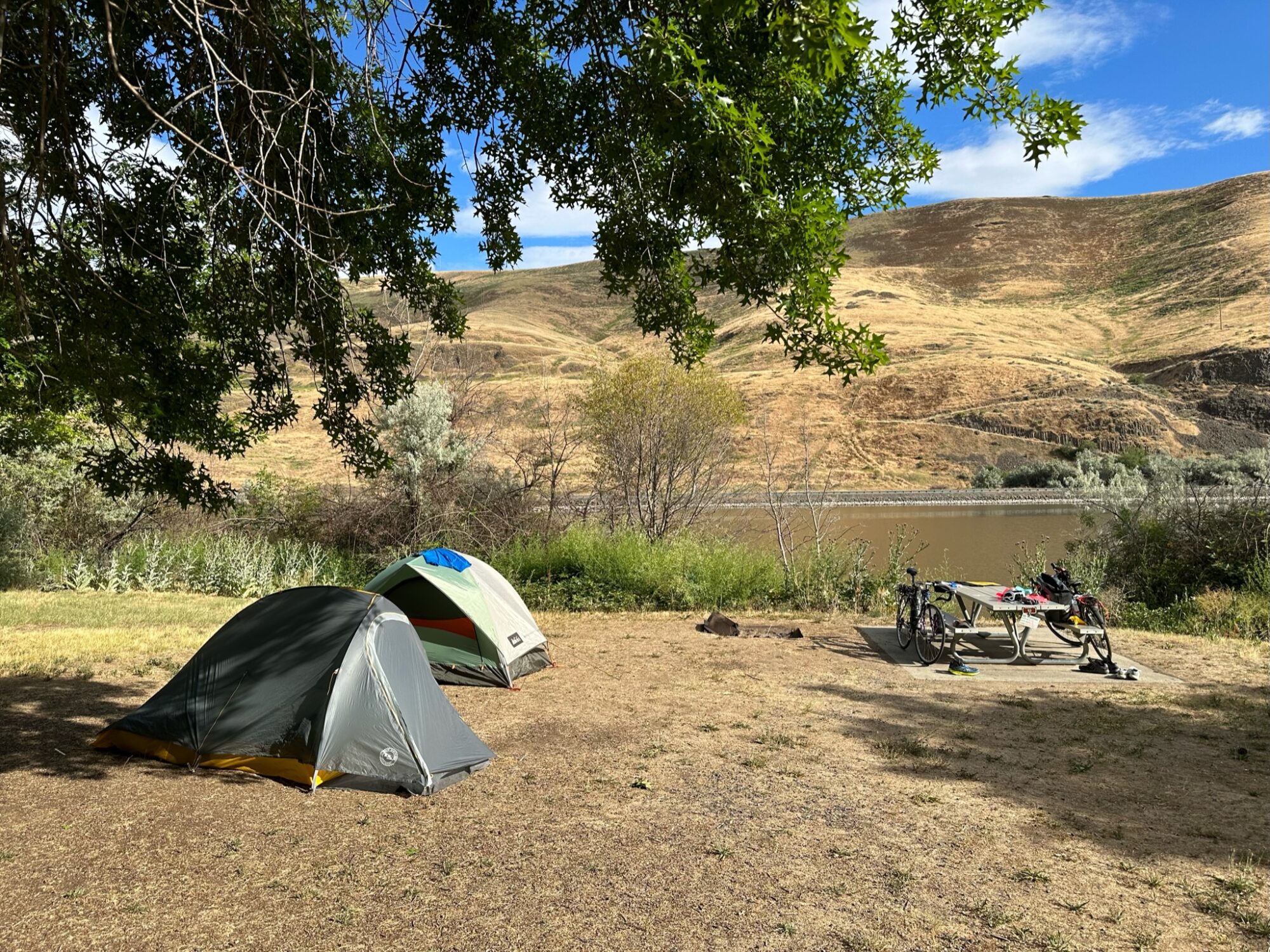 Day 6 - Idyllic camping on Silcott Island on the Snake River near Lewiston, WA and the Idaho border.