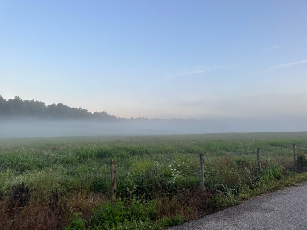 Day 36 - Mist on an Indiana Meadow