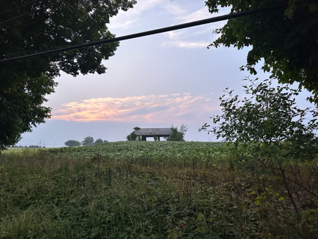 Day 40 - Sunrise in the cornfields of Ohio